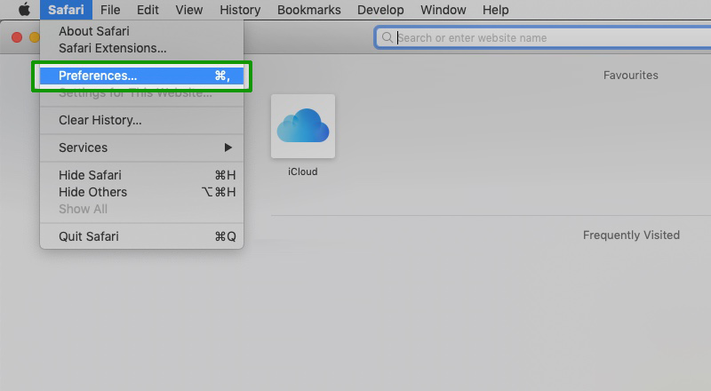 Open Safari settings